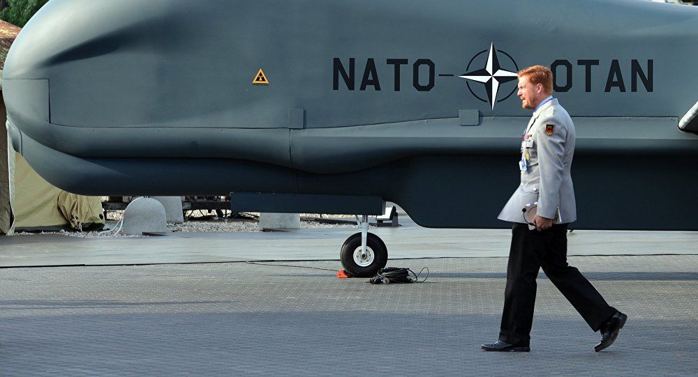 Majoritatea finlandezilor se pronunţă împotriva aderării la NATO. Foto: Sputnik/ Алексей Витвицкий
