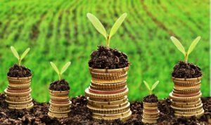 AIPA a trecut în contul producătorilor agricoli 461 de milioane de lei. 