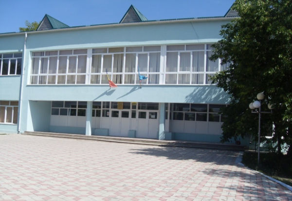 На избирательном участке в Комрате женщине стало плохо. Фото: gagauzinfo.md.