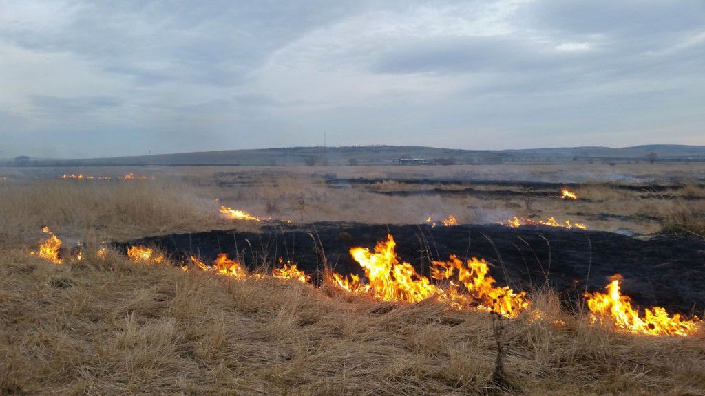Meteorologii anunţă Cod Galben de pericol de incendii. Avertizarea este valabilă pentru întreaga republică, între 20-26 iulie.