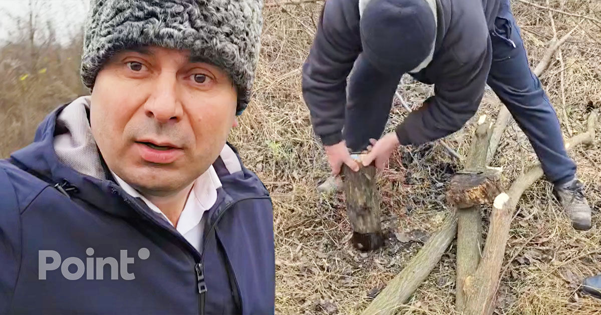 Costiuc: La Nisporeni s-a încercat ascunderea tăierilor ilegale de copaci, prin „plantarea” buturugilor.