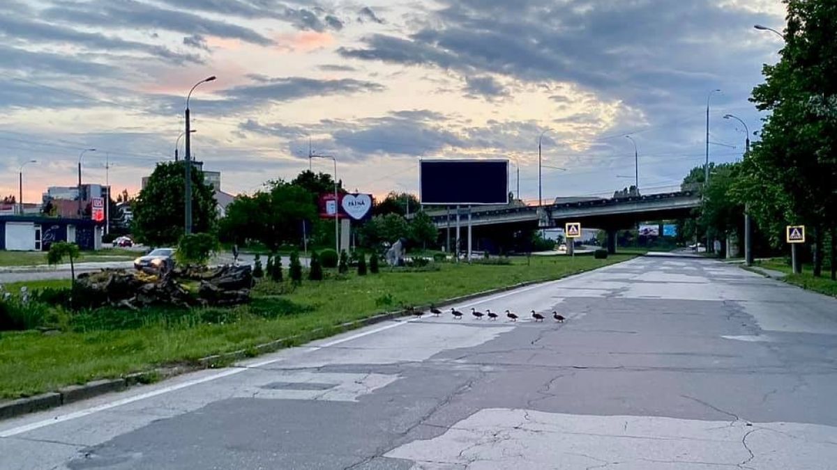 Движение по улице Албишоара приостановлено на три дня.