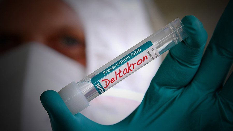 В трех странах Европы выявили штамм коронавируса «Дельтакрон».