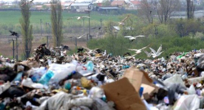 Munții de gunoi lăsați de oameni sunt o urmare firească a unei societăți de consum