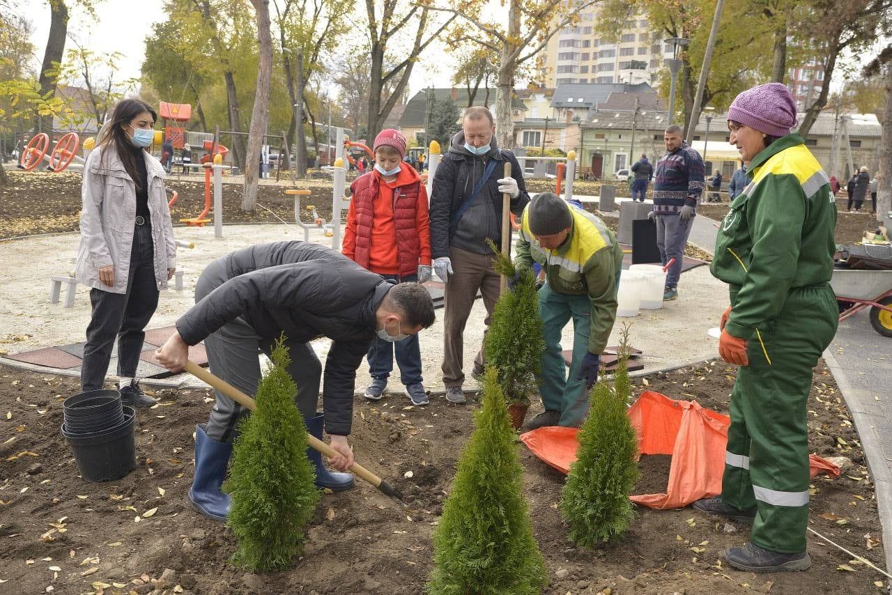 В обновлённом сквере на Рышкановке посадили сакуру, жасмин и барбарис.