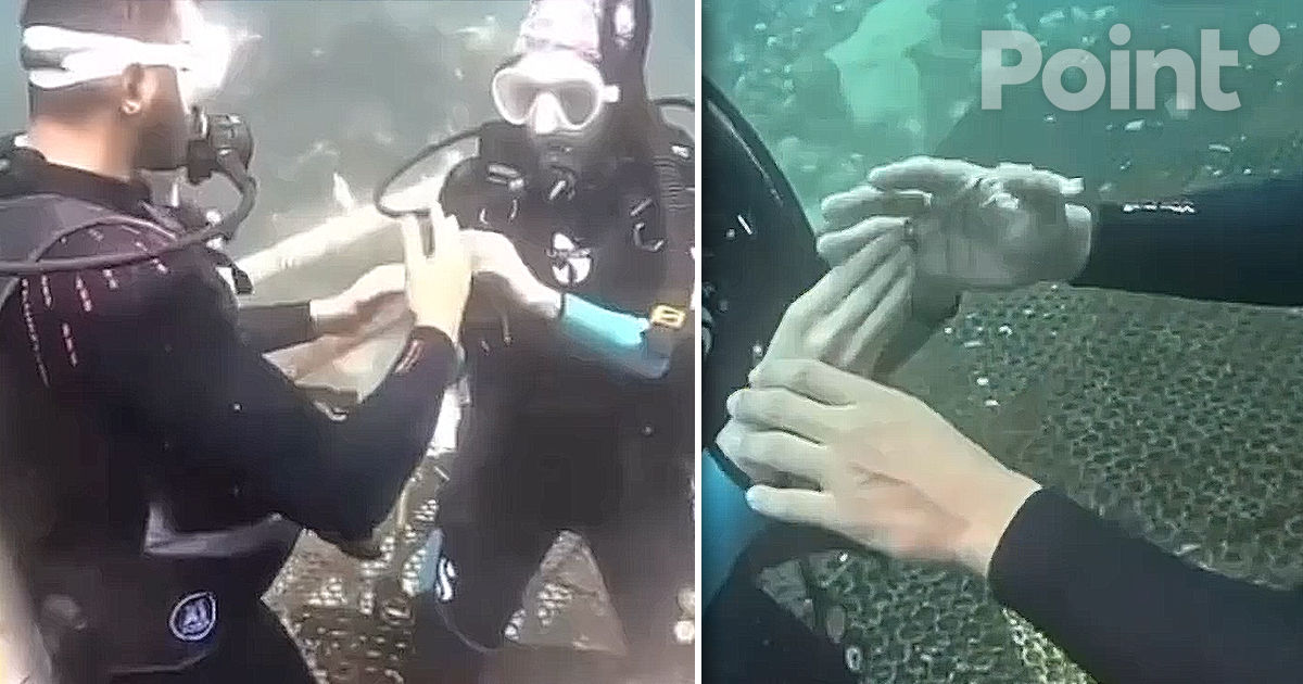 Впервые в Саудовской Аравии пара поженилась под водой в Красном море.