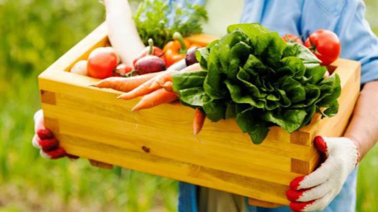 Reguli noi pentru importurile de produse de origine vegetală în UE