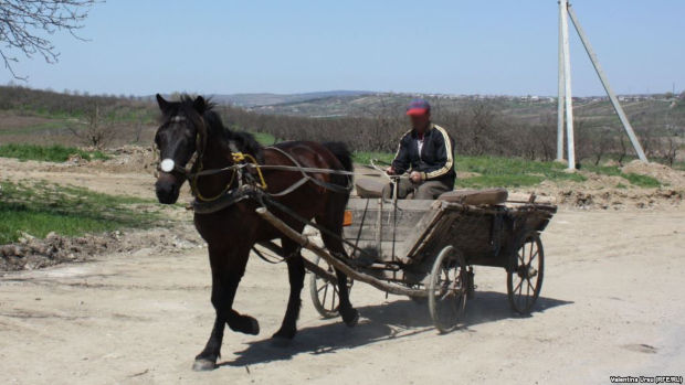 Un bărbat din raionul Rîşcani, în vârstă de 54 ani, a fost condamnat la 3 ani închisoare cu suspendare.