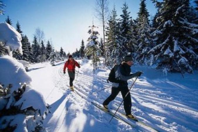В Молдове будут развивать лыжную трассу. Фото: winterlife.ru