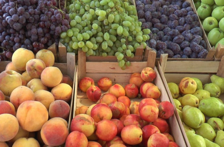 Ce sumă record a cîștigat Moldova în 2019 din exportul fructelor în RF