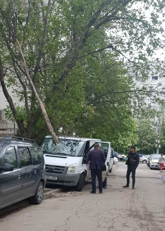 В столице упавшая из-за непогоды ветка повредила микроавтобус.