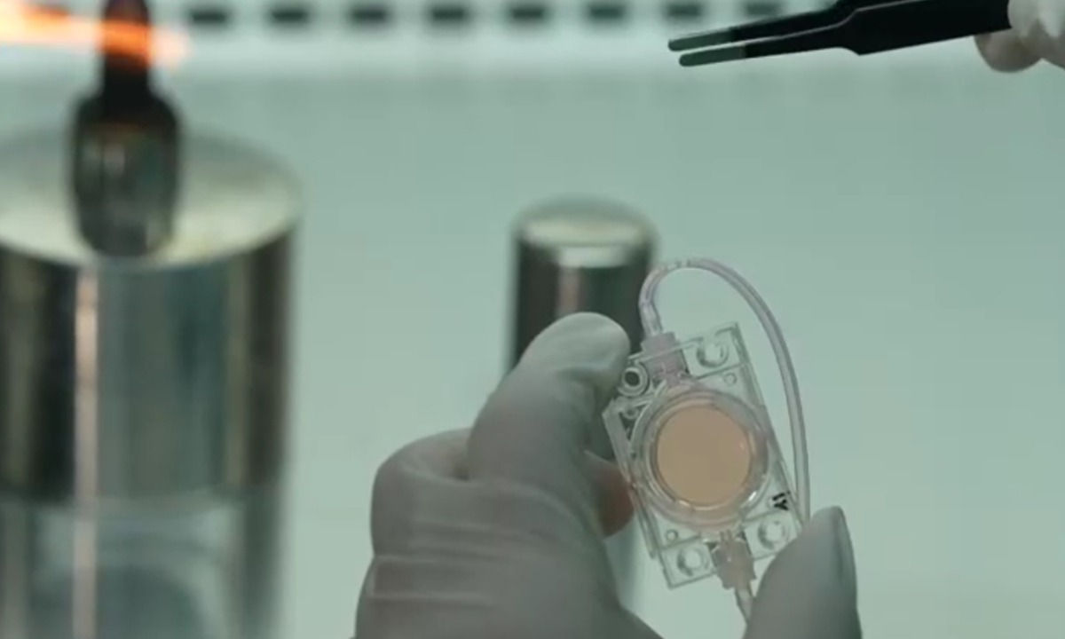 China a început un experiment pentru crearea unui embrion artificial pe orbită.
