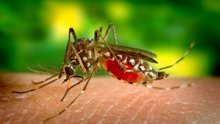 Sri Lanka: Sute de morți din cauza epidemiei de febră dengue