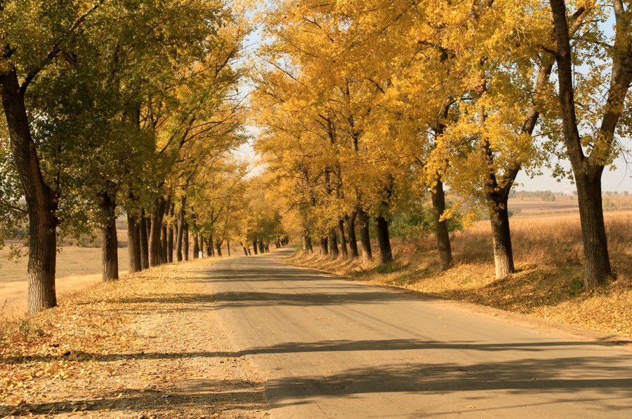 Astăzi vremea va fi determinată de influența unei zone de aer cu presiunea atmosferică ridicată. Foto: moldovenii.md
