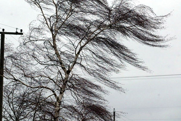 Meteorologii au anunţat cod galben de vânt în toată ţara.