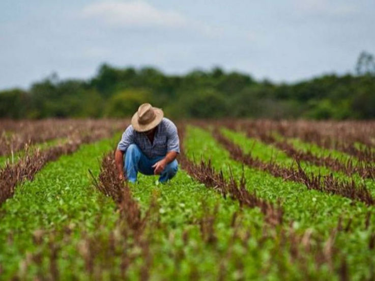 Subvenții în agricultură pentru moldovenii reveniți acasă