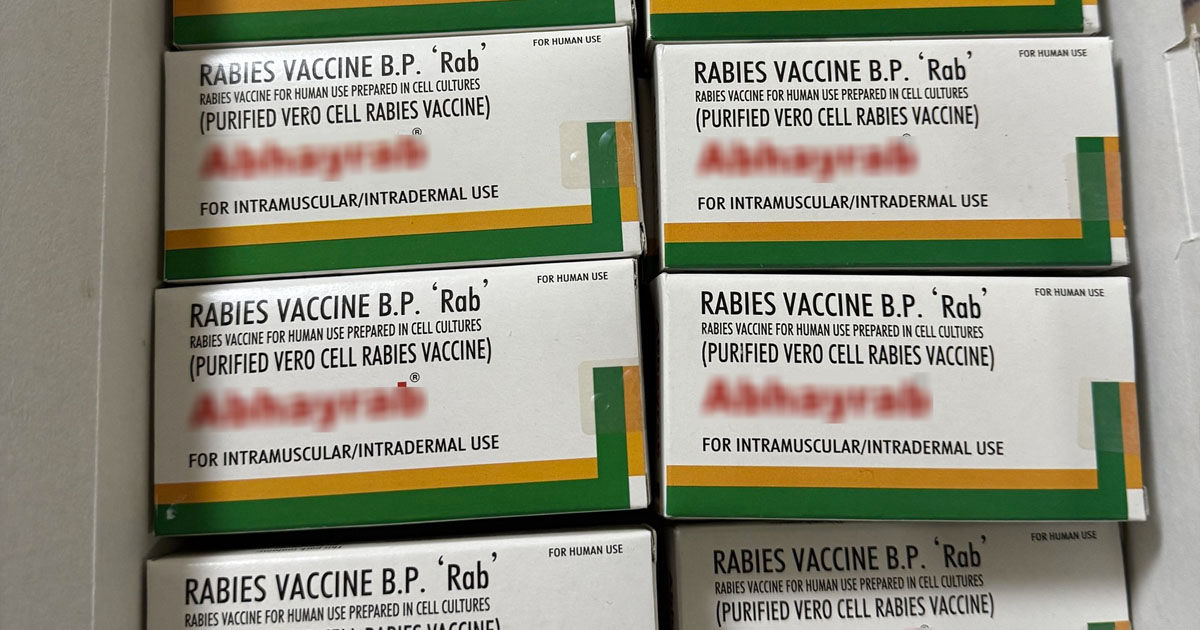 Ultimul lot de vaccin antirabic din acest an, recepționat de ANSP.