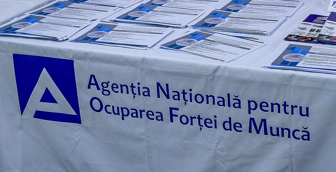 В настоящее время в НАЗН ра­ботают 335 сотрудников, а само ведомство состоит из 35 децент­рализованных территориальных подразделений. 