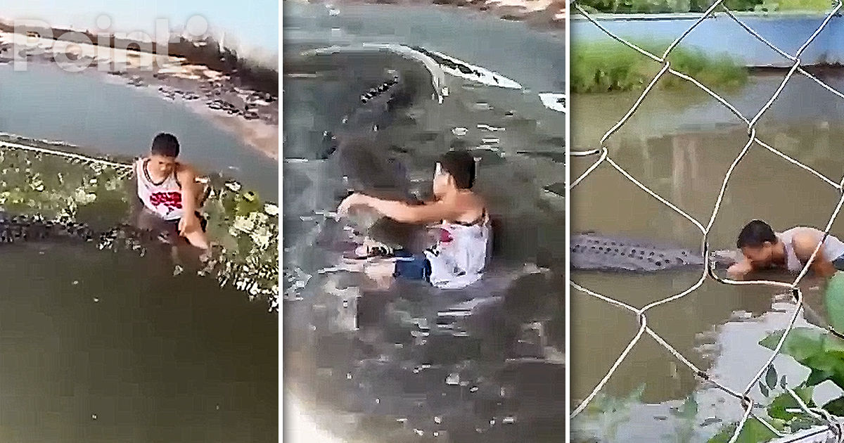 Un turist a intrat în voliera unui crocodil în Filipine. A crezut că animalul este un manechin.