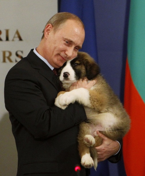 În scrisoare se subliniază că Putin şi-a dovedit prin fapte angajamentul faţă de valorile păcii.