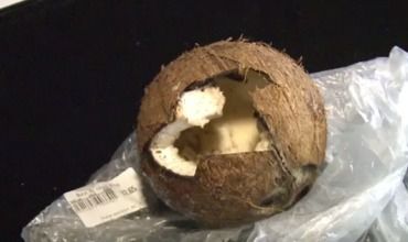 Surpriză grețoasă pentru un client ce și-a cumpărat nucă de cocos. Foto simbol: captură video