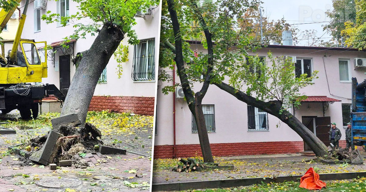 Un copac a căzut pe acoperișul unui bloc de locuit din Capitală.