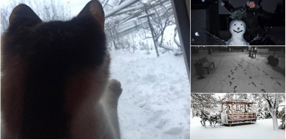 Ninge în Moldova: Cum s-au bucurat oamenii de zăpadă