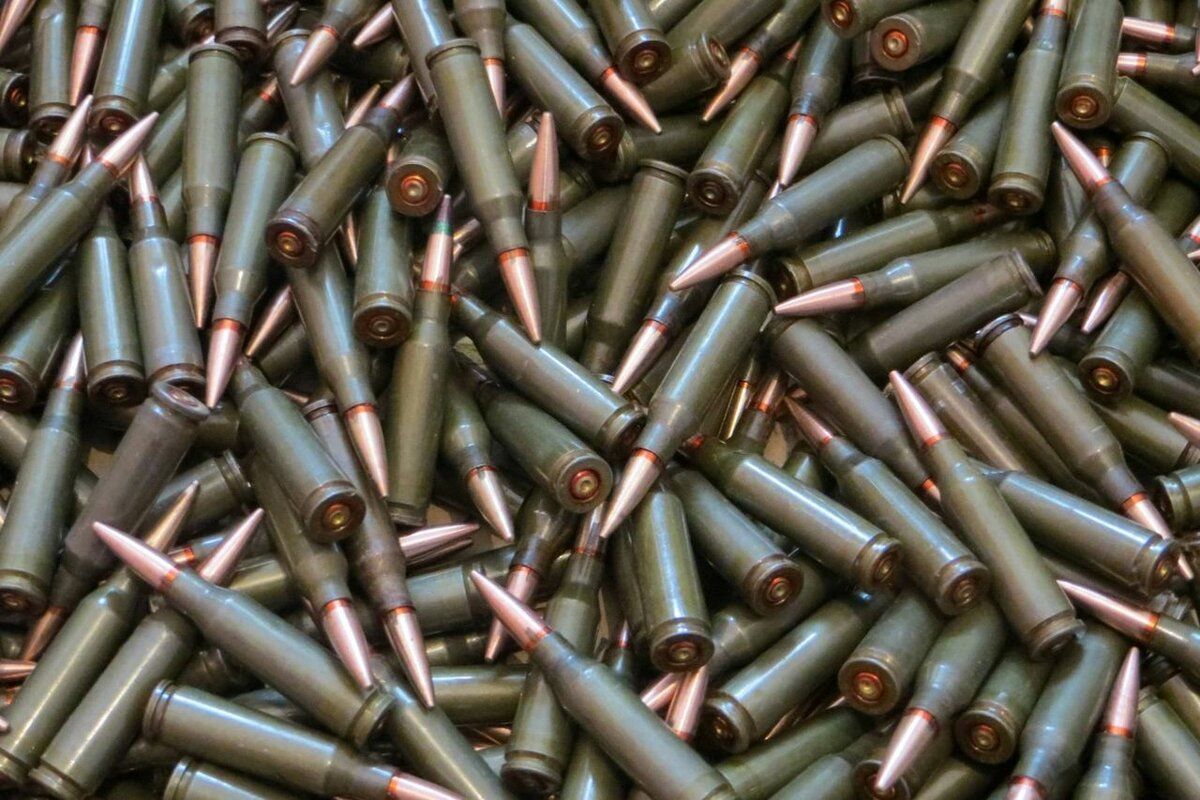 Жительница Григориополя обнаружила в своем сарае патроны.