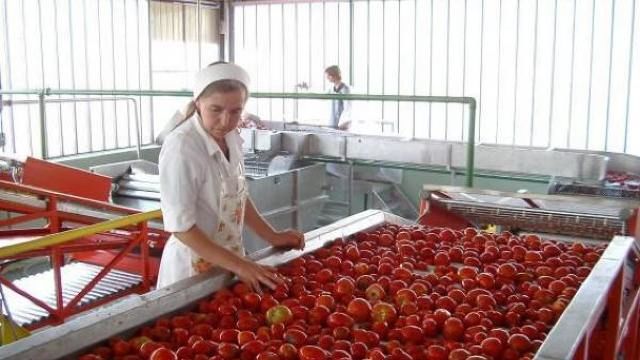 В ходе встречи стороны обсудили вопросы взаимодействия Приднестровья и Российской Федерации.