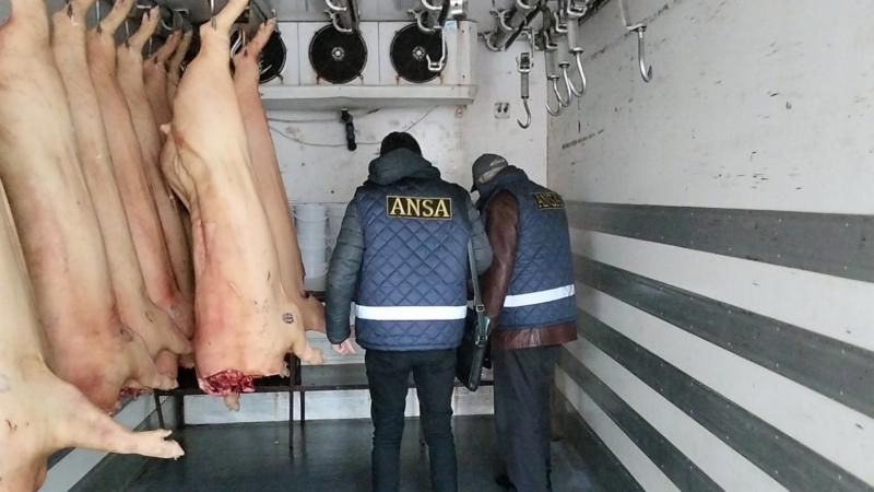 ANSA выявила многочисленные нарушения во время проверок на нескольких скотобойнях страны.