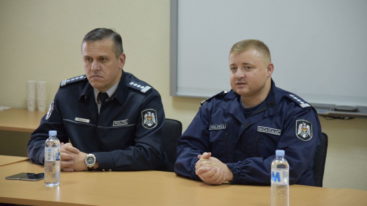 Руководители ГИП задекларировали значительное имущество.