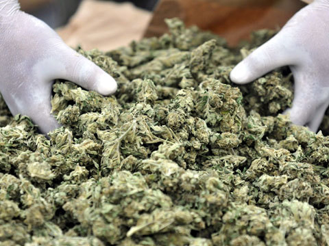 За истекший период зафиксировано  49 преступлений, связанных с потреблением и хранением наркотических веществ.   Фото: ntv.ru