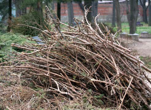 Crengile din curţile blocurilor, rămase după intemperii, sunt un pericol de incendiu.