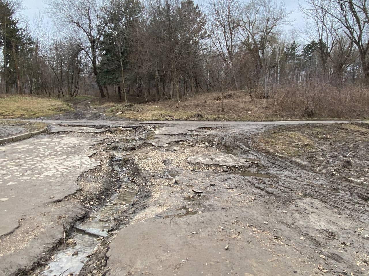 Чебан посетил парк “Долина Роз”, где обнаружил некоторые недостатки, требующие немедленного исправления.