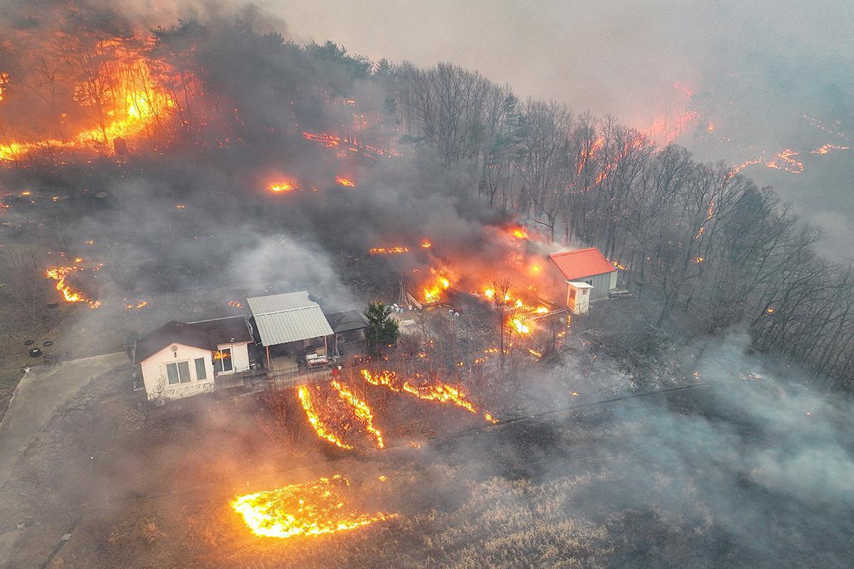 Incendiile din Coreea de Sud ar fi fost provocate de un bărbat care efectua un ritual de pomenire a strămoșilor.
