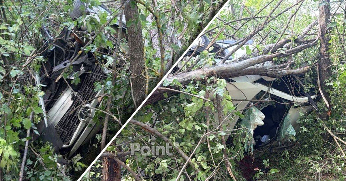 В Криулянском районе граждане Израиля попали в ДТП: один погиб, четверо пострадали.