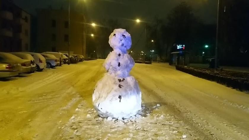 В Польше полицию вызвали из-за снеговика на дороге, которого спутали с пешеходом.