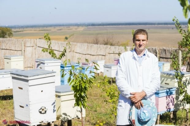 Circa 5.000 de tone de miere, produsă în acest an în R. Moldova