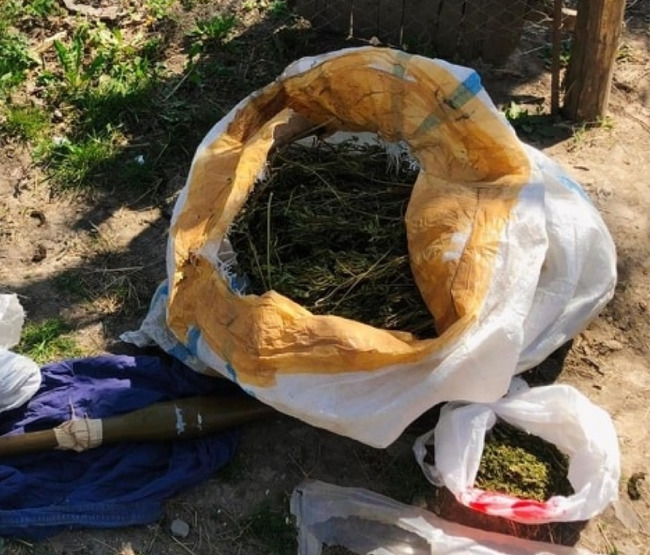В Шолданештском районе изъяли боеприпасы для гранатомета и марихуану.