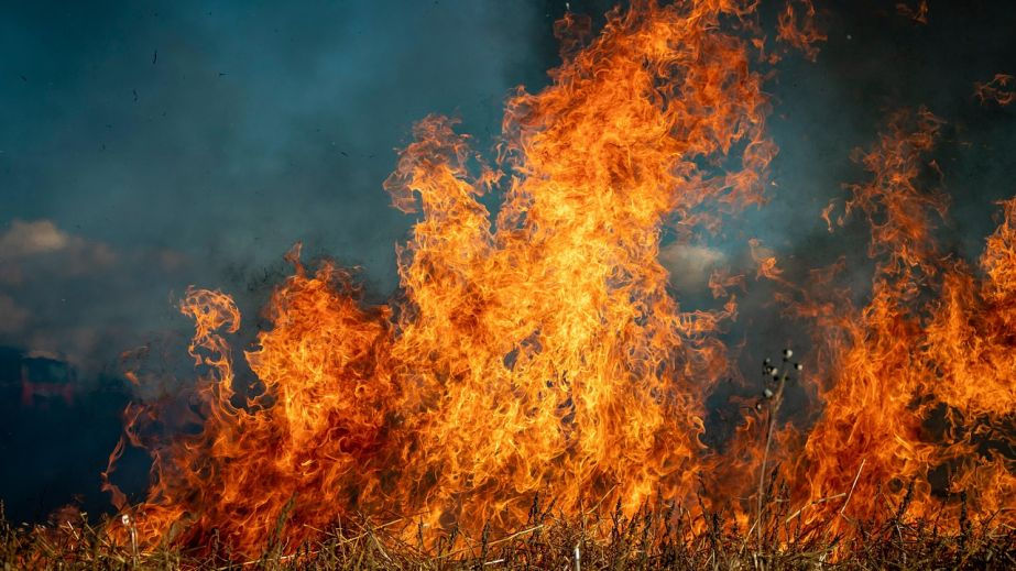 Avertizare meteorologică în Moldova: Cod Galben de pericol de incendii.