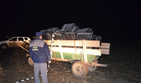 60 de mii de pachete de ţigări de contrabandă, confiscate de poliţia de frontieră Iaşi. Foto: jurnal.md
