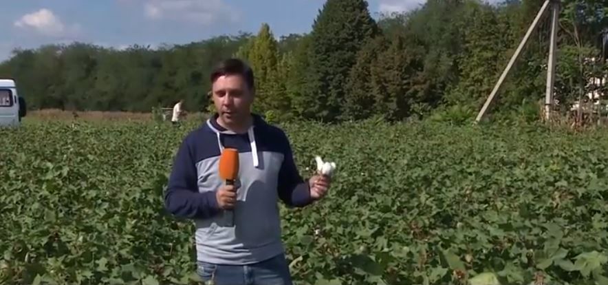 Пока это только эксперимент, но результат обнадёживает.