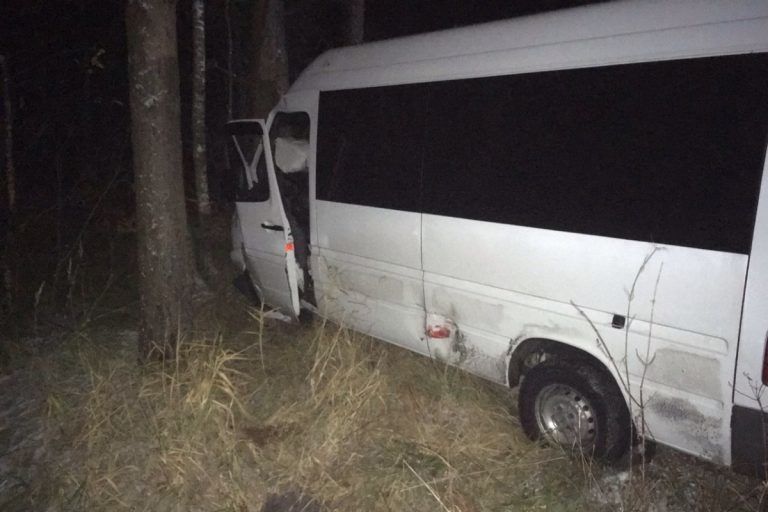 Всего в микроавтобусе находились 13 человек, из них девять пострадали. Серьезных травм нет.
