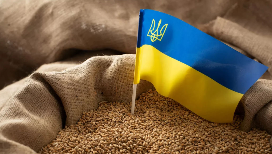 Румыния увеличит транспортные мощности для перевозки украинского зерна.