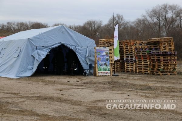 Со склада в селе Буджак вывезена последняя партия пестицидов.