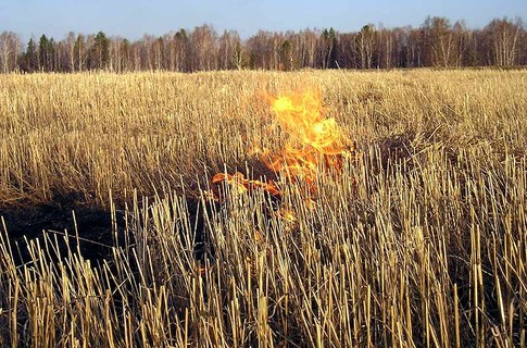 Причина пожара пока не установлена. Фото: fwnews.ru