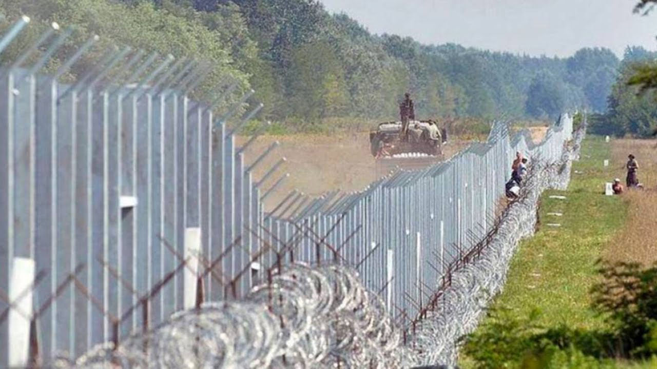 Польша построила 50 км забора на границе с Беларусью.