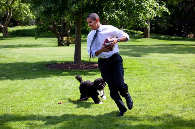 Preşedintele american Barack Obama, a primit-o, luni, la Casa Albă pe căţeluşa Sunny, noul prieten canin al familiei sale.