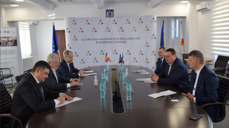Делегация НАРЭ во главе с Вячеславом Унтилэ посетила Бухарест.