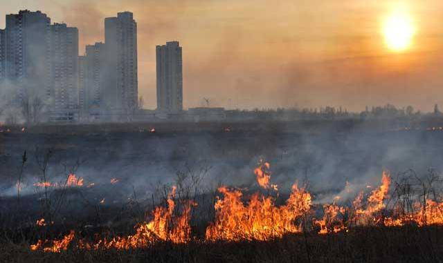 Oamenii de ştiinţă au catalogat, însă, această teorie drept aberantă.  